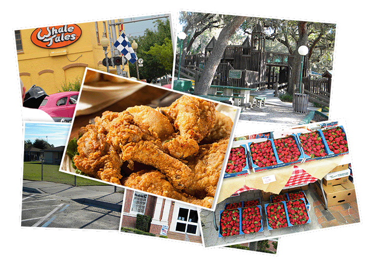 Attractions in North Florida